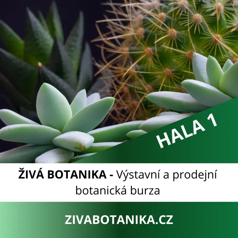 ŽIVÁ BOTANIKA - Vstupenka na 16.5.2026