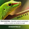 5.9.2026 ticket ZIVA EXOTIKA