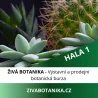 ŽIVÁ BOTANIKA - 17.10.2026