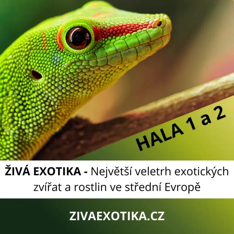 ŽIVÁ EXOTIKA - Vstupenka na 17.10.2026